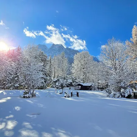 ホテル Alpenhof 4*