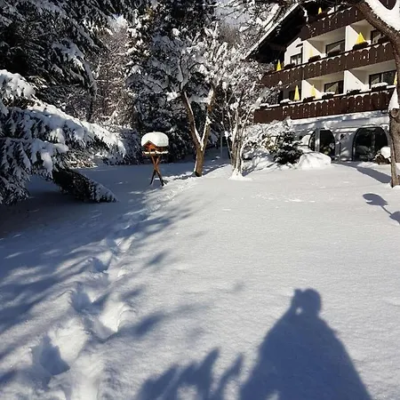 Alpenhof 4* グライナウ