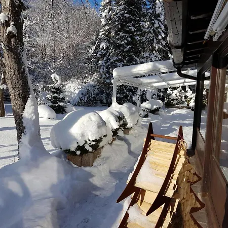 Alpenhof ホテル