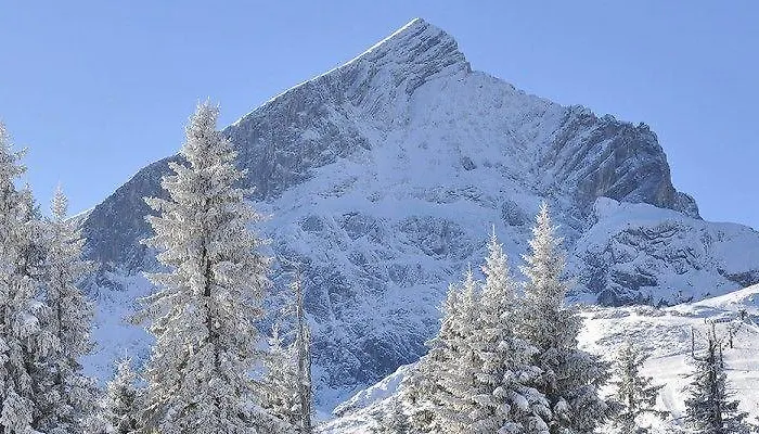 Alpenhof Отель Грайнау