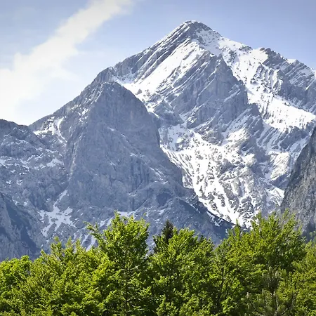 Alpenhof 4* グライナウ