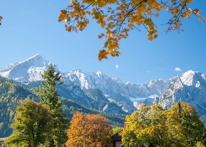 Hotel Alpenhof 4*