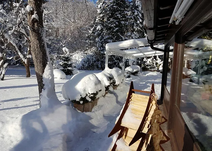 Hotel Alpenhof 4*